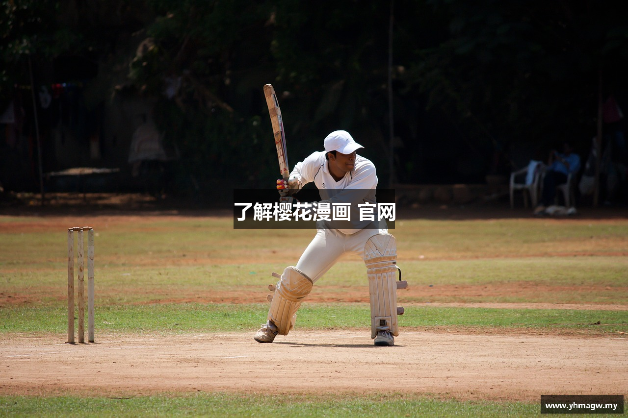 了解樱花漫画 官网